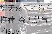 烧天然气的汽车推荐-烧天然气的suv