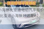 小海豚比亚迪电动汽车报价-比亚迪小海豚好还是e2好