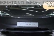 特斯拉订购入口-特斯拉model2020