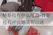 特斯拉有什么赠品-特斯拉有什么赠品可以送