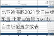 比亚迪海豚2021款自由版配置,比亚迪海豚2021款自由版配置参数表