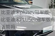 比亚迪宋plusev冠军版-比亚迪宋PLUSev冠军版有话筒吗