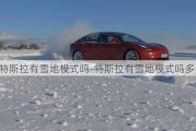 特斯拉有雪地模式吗-特斯拉有雪地模式吗多少钱