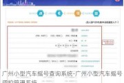 广州小型汽车摇号查询系统-广州小型汽车摇号调控管理系统
