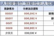 特斯拉无人驾驶售价_特斯拉无人驾驶汽车价格表