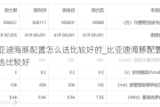 比亚迪海豚配置怎么选比较好的_比亚迪海豚配置怎么选比较好