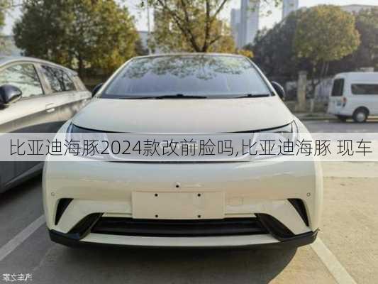 比亚迪海豚2024款改前脸吗,比亚迪海豚 现车