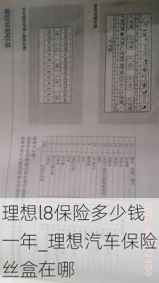 理想l8保险多少钱一年_理想汽车保险丝盒在哪