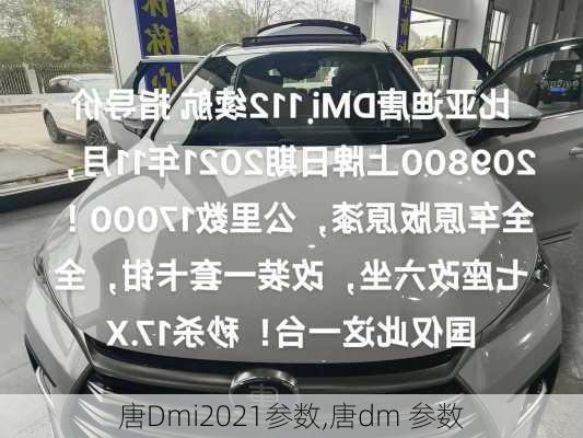 唐Dmi2021参数,唐dm 参数