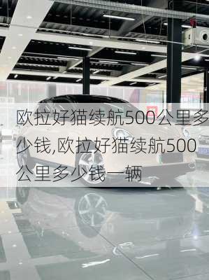 欧拉好猫续航500公里多少钱,欧拉好猫续航500公里多少钱一辆