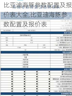 比亚迪海豚参数配置及报价表大全,比亚迪海豚参数配置及报价表