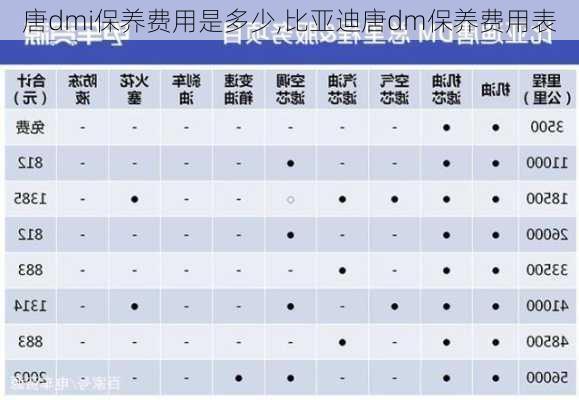 唐dmi保养费用是多少,比亚迪唐dm保养费用表