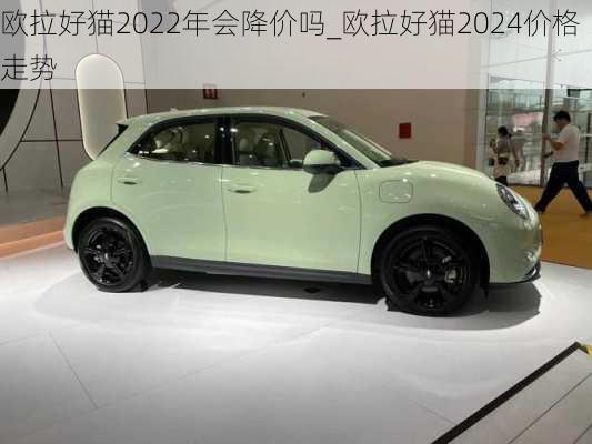 欧拉好猫2022年会降价吗_欧拉好猫2024价格走势