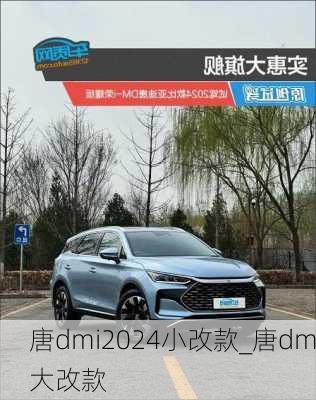 唐dmi2024小改款_唐dm大改款