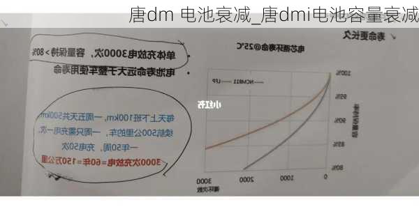 唐dm 电池衰减_唐dmi电池容量衰减