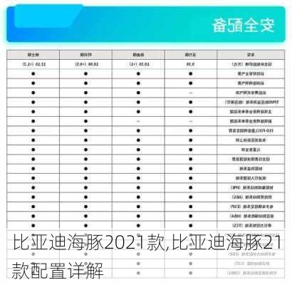 比亚迪海豚2021款,比亚迪海豚21款配置详解