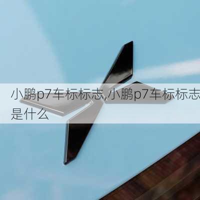 小鹏p7车标标志,小鹏p7车标标志是什么