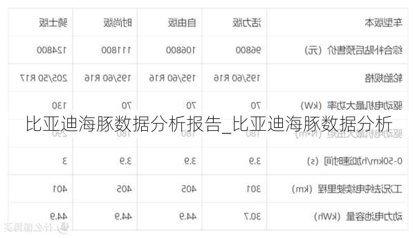 比亚迪海豚数据分析报告_比亚迪海豚数据分析