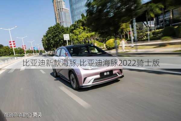 比亚迪新款海豚,比亚迪海豚2022骑士版