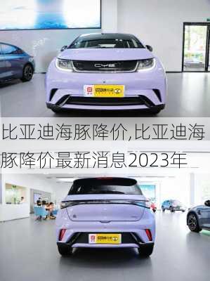 比亚迪海豚降价,比亚迪海豚降价最新消息2023年