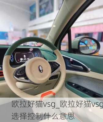 欧拉好猫vsg_欧拉好猫vsg选择控制什么意思