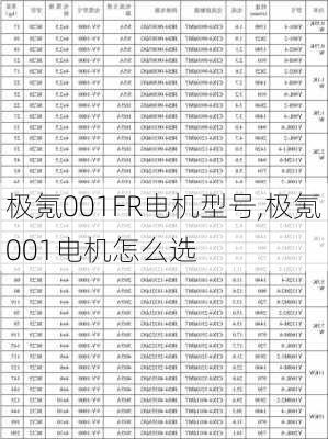 极氪001FR电机型号,极氪001电机怎么选