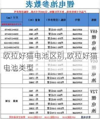 欧拉好猫电池区别,欧拉好猫电池类型