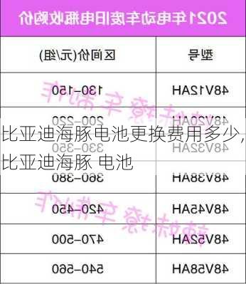 比亚迪海豚电池更换费用多少,比亚迪海豚 电池