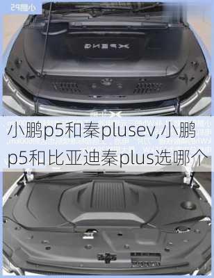 小鹏p5和秦plusev,小鹏p5和比亚迪秦plus选哪个