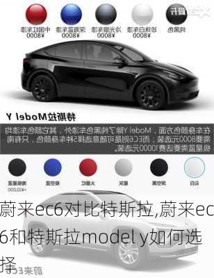 蔚来ec6对比特斯拉,蔚来ec6和特斯拉model y如何选择