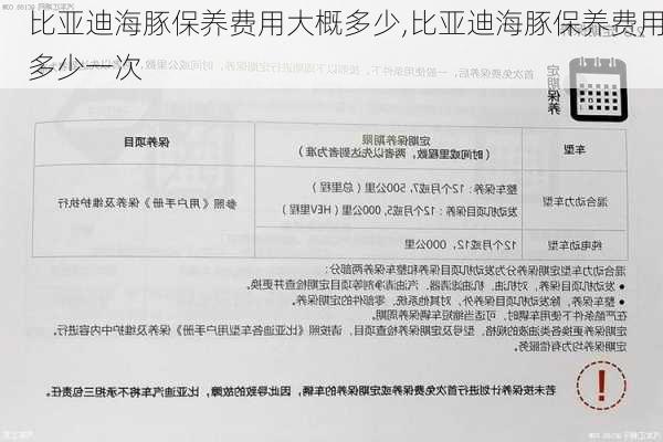 比亚迪海豚保养费用大概多少,比亚迪海豚保养费用多少一次