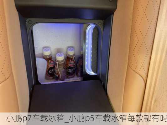 小鹏p7车载冰箱_小鹏p5车载冰箱每款都有吗