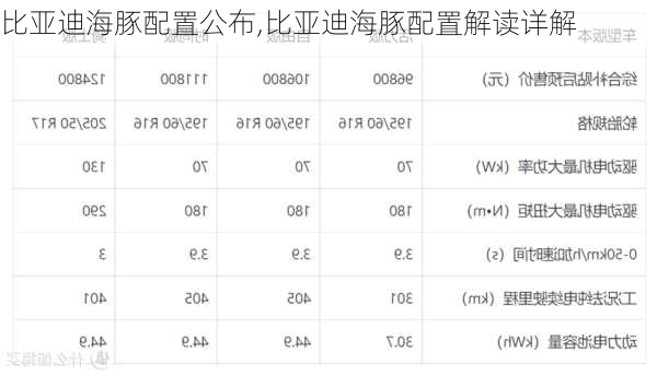 比亚迪海豚配置公布,比亚迪海豚配置解读详解