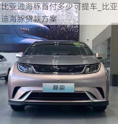 比亚迪海豚首付多少可提车_比亚迪海豚贷款方案