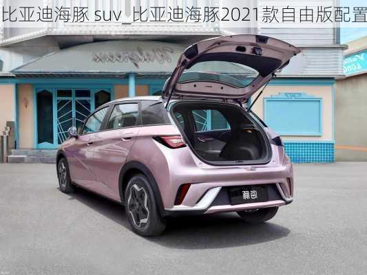 比亚迪海豚 suv_比亚迪海豚2021款自由版配置