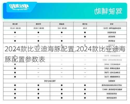 2024款比亚迪海豚配置,2024款比亚迪海豚配置参数表