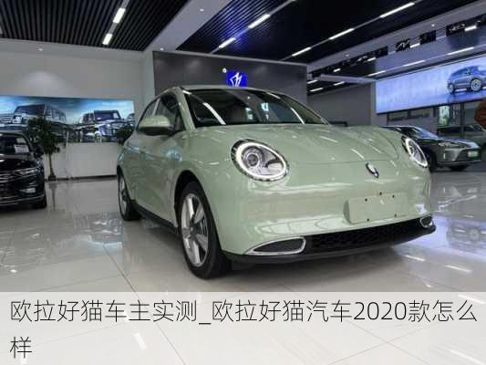 欧拉好猫车主实测_欧拉好猫汽车2020款怎么样