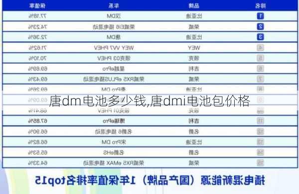 唐dm电池多少钱,唐dmi电池包价格