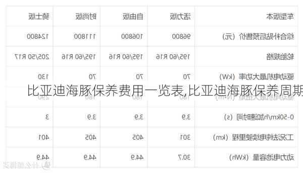 比亚迪海豚保养费用一览表,比亚迪海豚保养周期