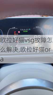 欧拉好猫vsg故障怎么解决,欧拉好猫ora