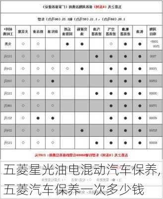 五菱星光油电混动汽车保养,五菱汽车保养一次多少钱