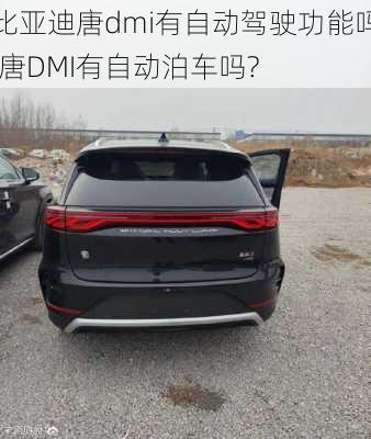 比亚迪唐dmi有自动驾驶功能吗,唐DMI有自动泊车吗?