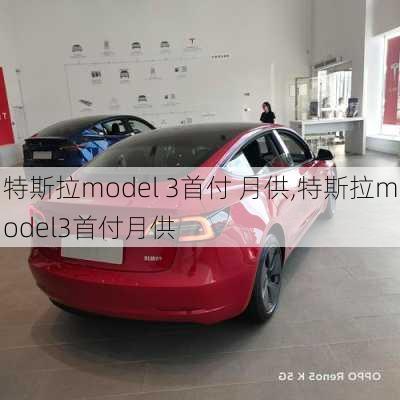 特斯拉model 3首付 月供,特斯拉model3首付月供