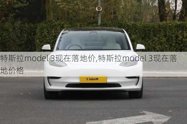 特斯拉model 3现在落地价,特斯拉model 3现在落地价格