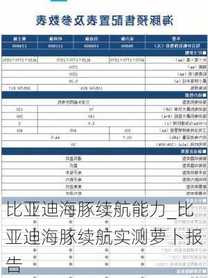 比亚迪海豚续航能力_比亚迪海豚续航实测萝卜报告