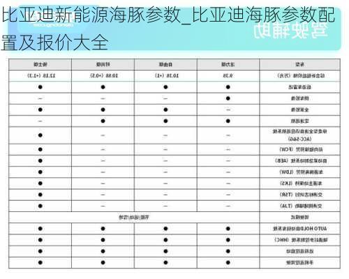 比亚迪新能源海豚参数_比亚迪海豚参数配置及报价大全