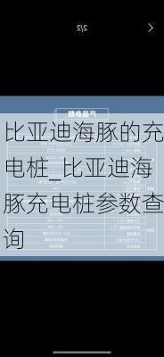 比亚迪海豚的充电桩_比亚迪海豚充电桩参数查询