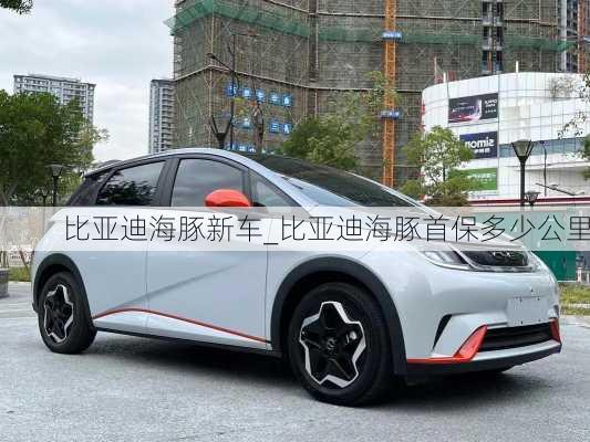 比亚迪海豚新车_比亚迪海豚首保多少公里