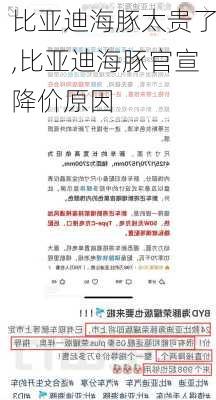 比亚迪海豚太贵了,比亚迪海豚官宣降价原因