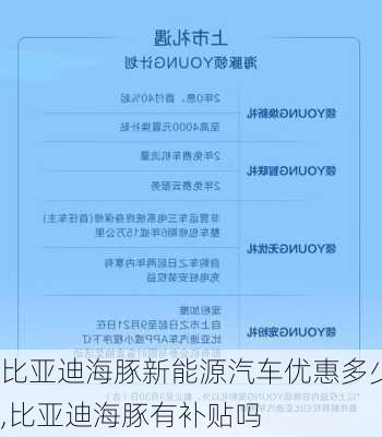 比亚迪海豚新能源汽车优惠多少,比亚迪海豚有补贴吗